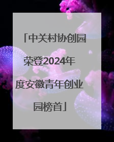中关村协创园荣登2024年度安徽青年创业园榜首