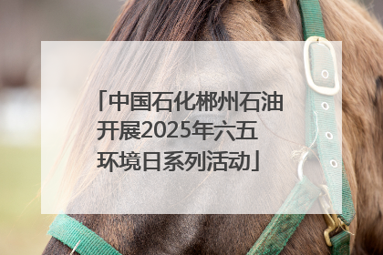 中国石化郴州石油开展2025年六五环境日系列活动