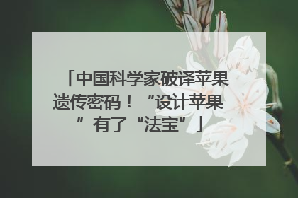 中国科学家破译苹果遗传密码！“设计苹果”有了“法宝”