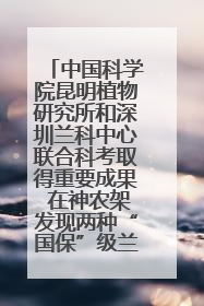 中国科学院昆明植物研究所和深圳兰科中心联合科考取得重要成果 在神农架发现两种“国保”级兰花