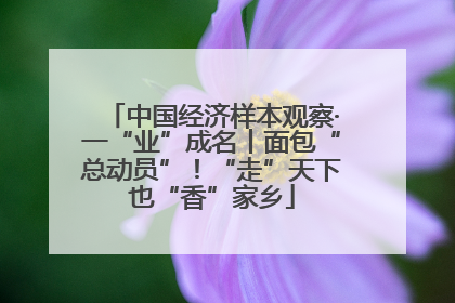 中国经济样本观察·一“业”成名丨面包“总动员”！“走”天下也“香”家乡