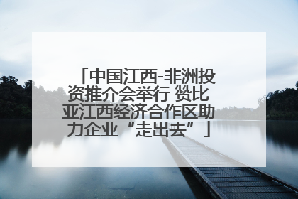 中国江西-非洲投资推介会举行 赞比亚江西经济合作区助力企业“走出去”
