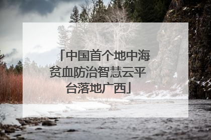 中国首个地中海贫血防治智慧云平台落地广西