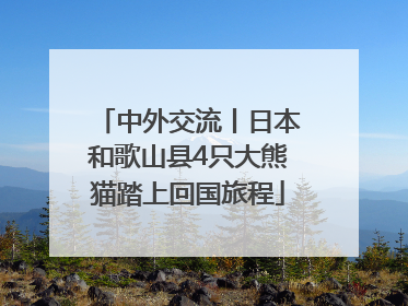 中外交流丨日本和歌山县4只大熊猫踏上回国旅程