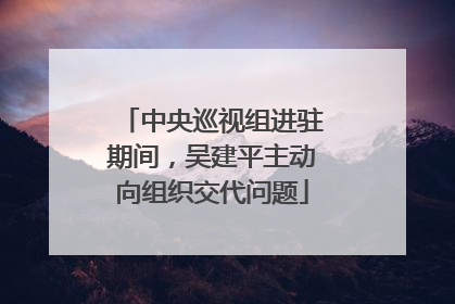 中央巡视组进驻期间，吴建平主动向组织交代问题
