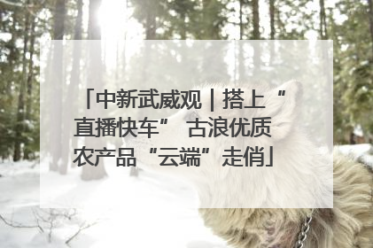 中新武威观｜搭上“直播快车” 古浪优质农产品“云端”走俏