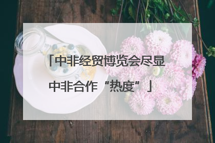 中非经贸博览会尽显中非合作“热度”