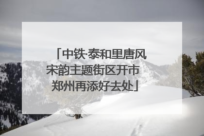 中铁·泰和里唐风宋韵主题街区开市 郑州再添好去处