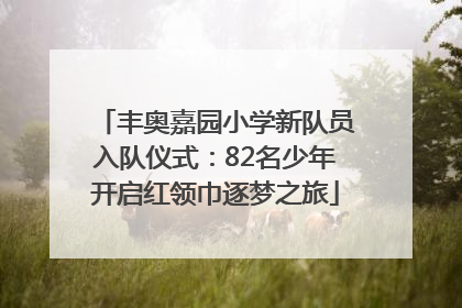 丰奥嘉园小学新队员入队仪式：82名少年开启红领巾逐梦之旅