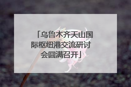 乌鲁木齐天山国际枢纽港交流研讨会圆满召开