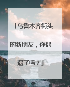 乌鲁木齐街头的新朋友，你偶遇了吗？