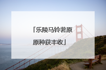 乐陵马铃薯原原种获丰收