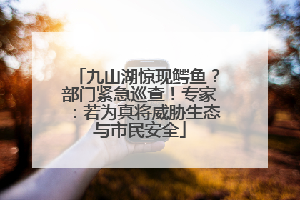 九山湖惊现鳄鱼？部门紧急巡查！专家：若为真将威胁生态与市民安全