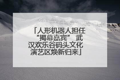 人形机器人担任“揭幕嘉宾” 武汉欢乐谷码头文化演艺区焕新归来
