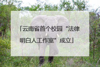 云南省首个校园“法律明白人工作室”成立