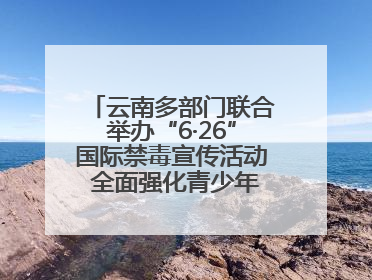 云南多部门联合举办“6·26”国际禁毒宣传活动 全面强化青少年防毒意识