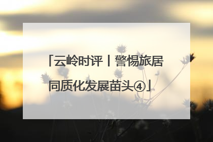 云岭时评丨警惕旅居同质化发展苗头④