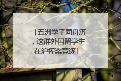 五洲学子同舟济，这群外国留学生在沪挥桨竞逐