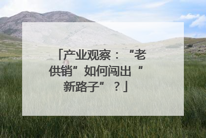 产业观察：“老供销”如何闯出“新路子”？