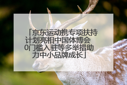 京东运动携专项扶持计划亮相中国体博会 0门槛入驻等多举措助力中小品牌成长