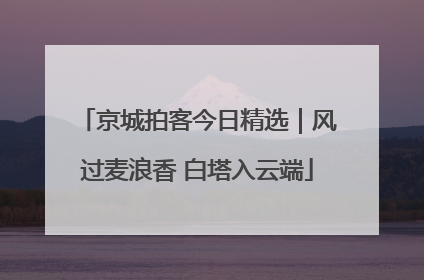 京城拍客今日精选｜风过麦浪香 白塔入云端