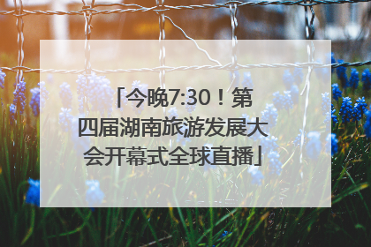 今晚7:30！第四届湖南旅游发展大会开幕式全球直播