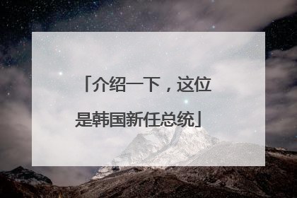 介绍一下，这位是韩国新任总统