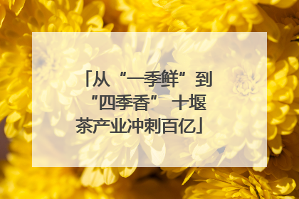 从“一季鲜”到“四季香” 十堰茶产业冲刺百亿