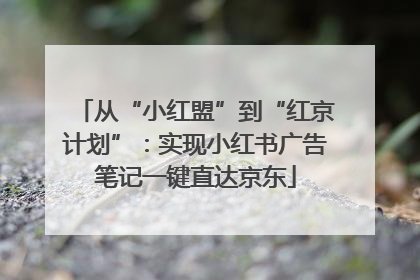 从“小红盟”到“红京计划”：实现小红书广告笔记一键直达京东