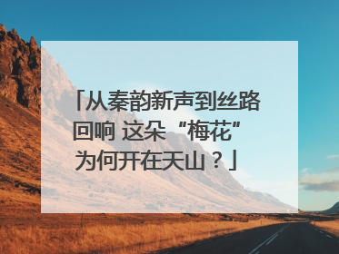 从秦韵新声到丝路回响 这朵“梅花”为何开在天山？