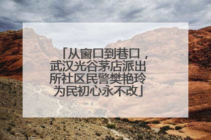 从窗口到巷口，武汉光谷茅店派出所社区民警樊艳玲为民初心永不改