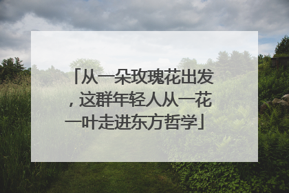 从一朵玫瑰花出发，这群年轻人从一花一叶走进东方哲学