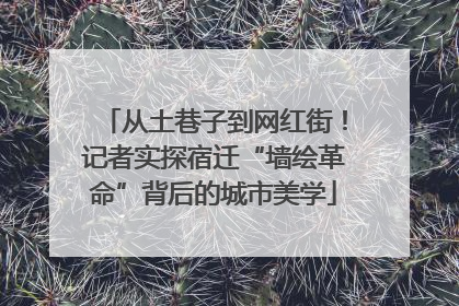 从土巷子到网红街！记者实探宿迁“墙绘革命”背后的城市美学