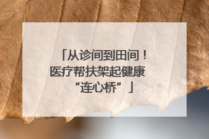 从诊间到田间！医疗帮扶架起健康“连心桥”