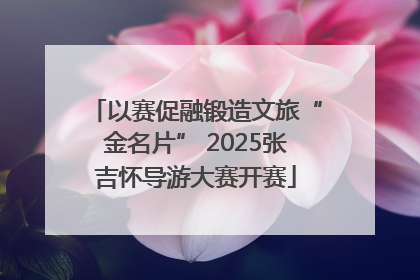 以赛促融锻造文旅“金名片” 2025张吉怀导游大赛开赛
