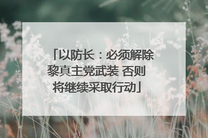 以防长：必须解除黎真主党武装 否则将继续采取行动