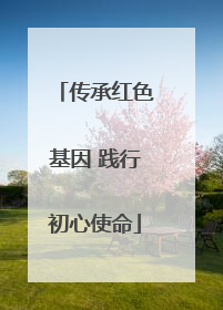 传承红色基因 践行初心使命