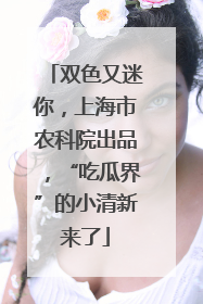 双色又迷你，上海市农科院出品，“吃瓜界”的小清新来了