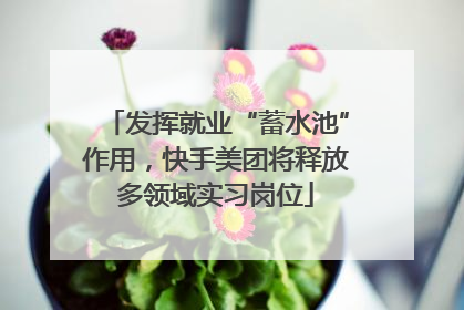 发挥就业“蓄水池”作用，快手美团将释放多领域实习岗位