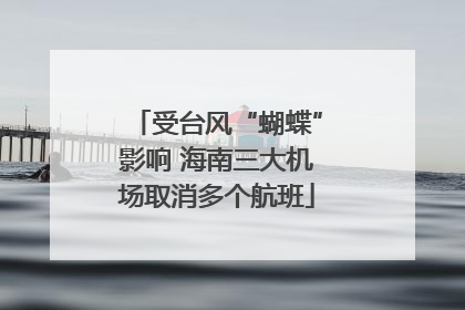 受台风“蝴蝶”影响 海南三大机场取消多个航班