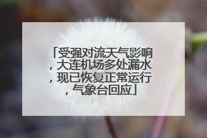 受强对流天气影响，大连机场多处漏水，现已恢复正常运行，气象台回应