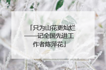 只为山花更灿烂——记全国先进工作者陈萍花
