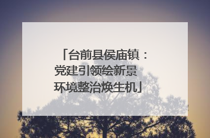 台前县侯庙镇：党建引领绘新景 环境整治焕生机
