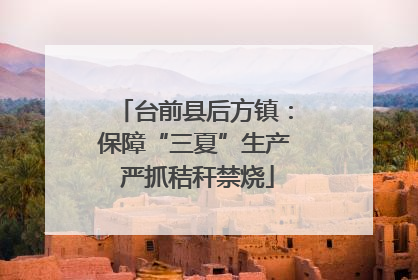 台前县后方镇：保障“三夏”生产 严抓秸秆禁烧