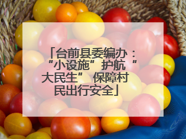台前县委编办：“小设施”护航“大民生” 保障村民出行安全