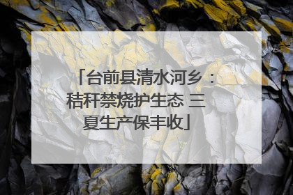 台前县清水河乡：秸秆禁烧护生态 三夏生产保丰收