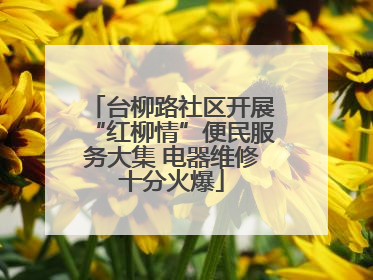 台柳路社区开展“红柳情”便民服务大集 电器维修十分火爆