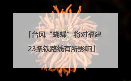 台风“蝴蝶”将对福建23条铁路线有所影响