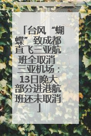 台风“蝴蝶”致成都直飞三亚航班全取消 三亚机场：13日晚大部分进港航班还未取消