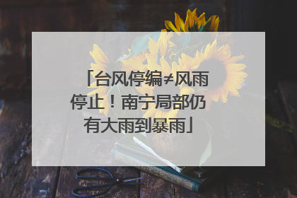 台风停编≠风雨停止！南宁局部仍有大雨到暴雨